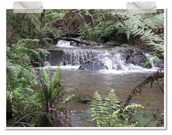 The Cascades