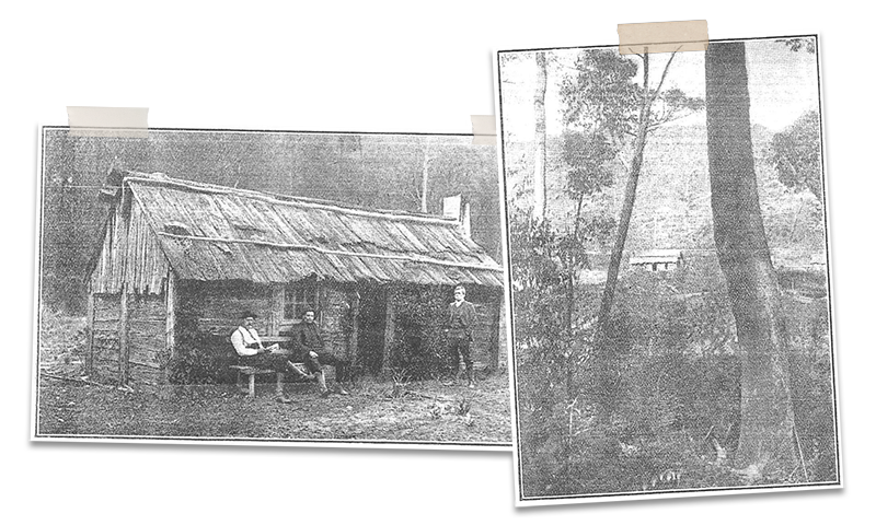 Bush scenes of huts