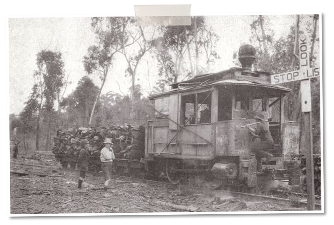 Mitchell's Tram