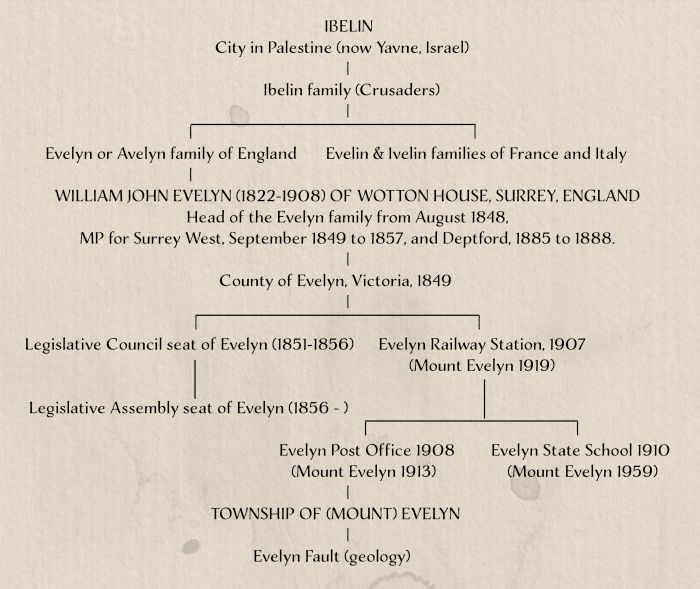 Evelyn Name Tree