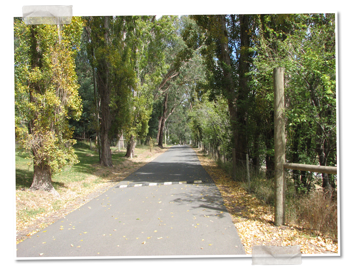 Tramway Road