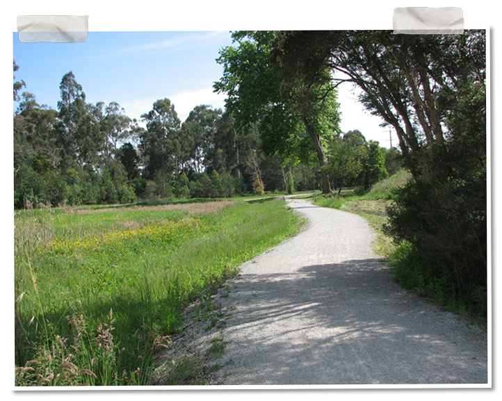 Vanished Village path