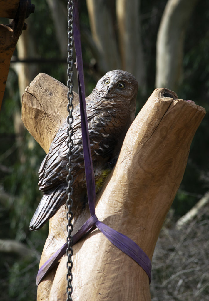 Sculpture at Mt Evelyn Picnic and Recreation Reserve.