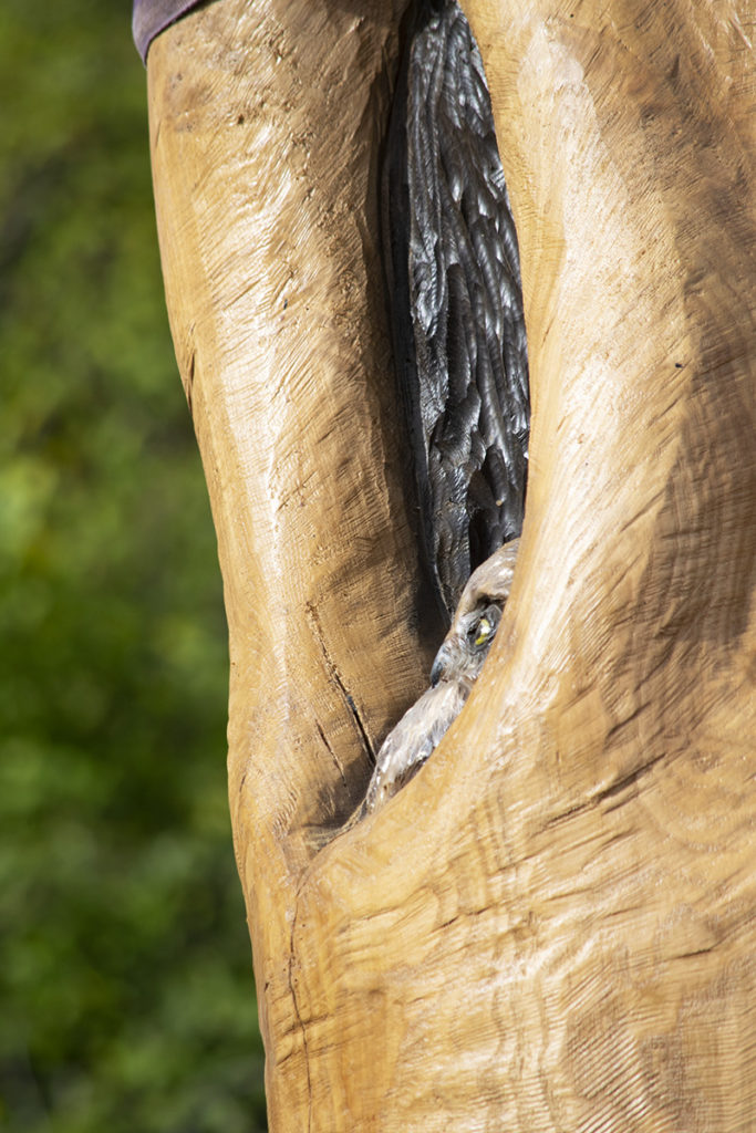 Sculpture at Mt Evelyn Picnic and Recreation Reserve.