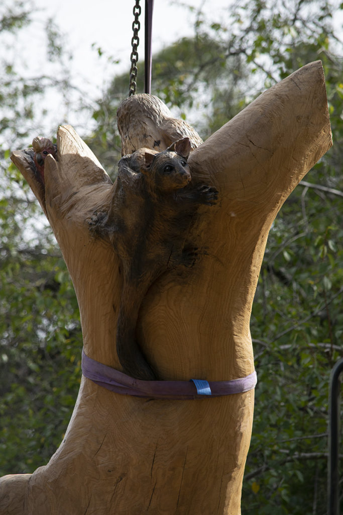 Sculpture at Mt Evelyn Picnic and Recreation Reserve.