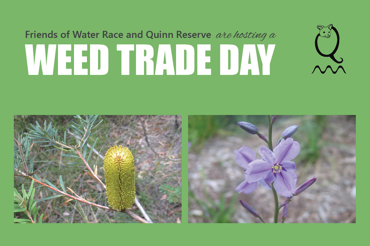 Weed Trade Day